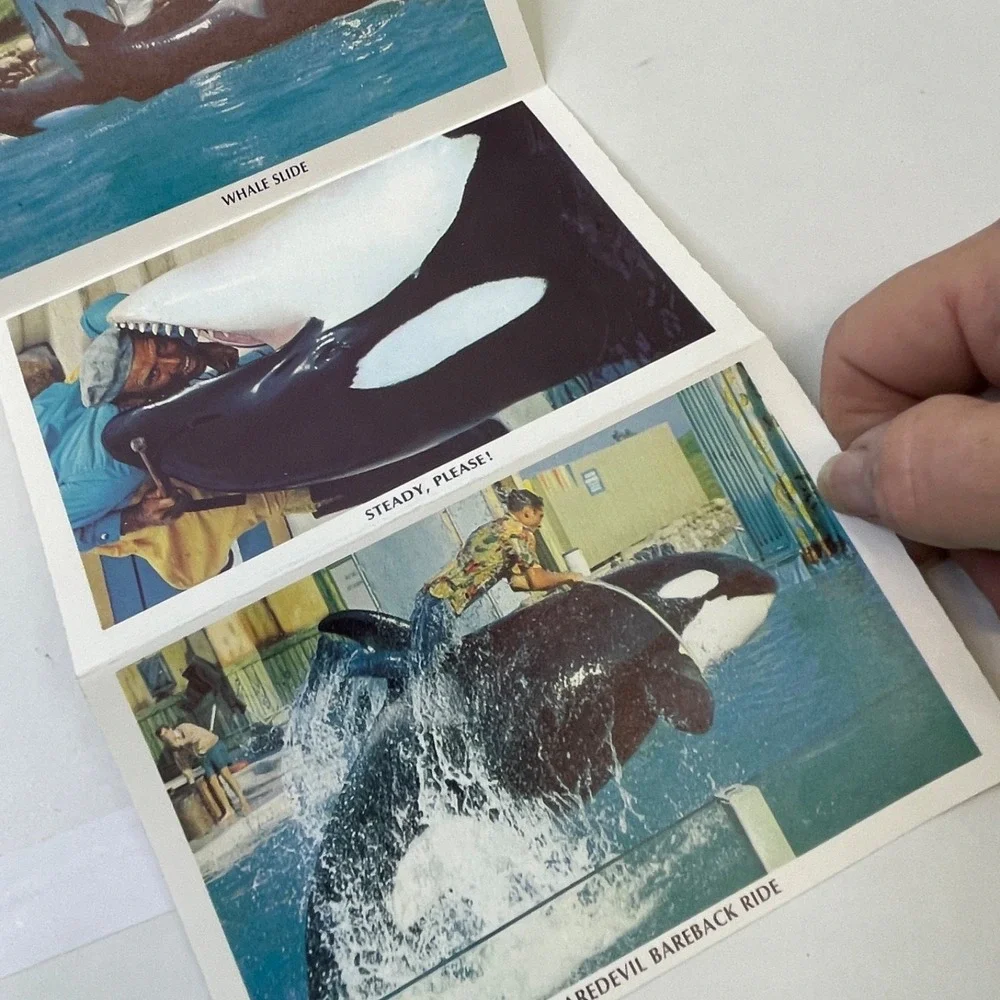 Shamu Whale Sea World Foldout Postcard Photo Booklet Vintage 1970s‎ San Diego CA